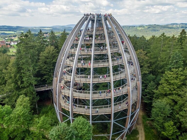 Das Baum-Ei in Neuschönau im Nationalpark Bayerischer Wald.