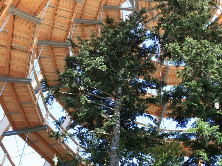 Unterkunft nahe Baumei Bayerischer Wald