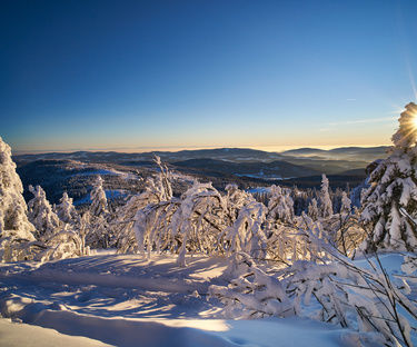 Winterurlaub Bayerischer Wald am Arber