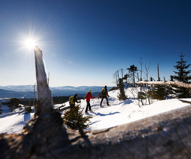 Hotel Bayerischer Wald im Winter