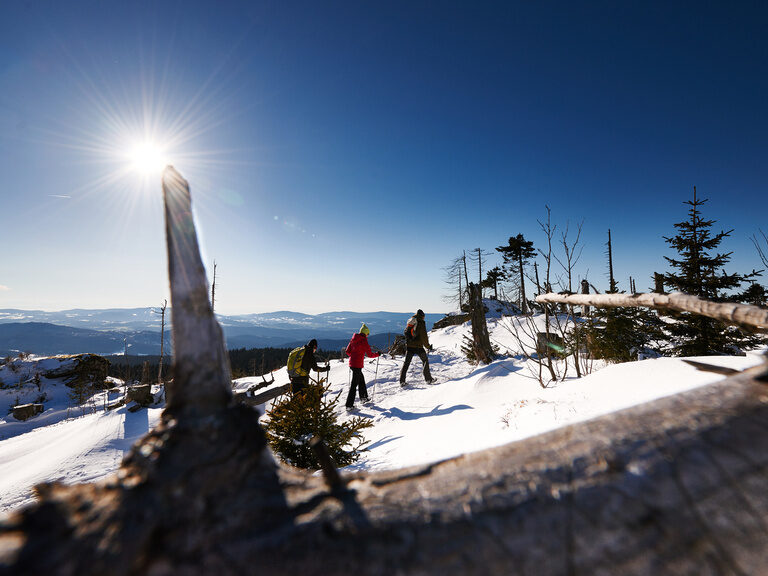 Hotel Bayerischer Wald im Winter