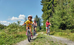 Radfahren Bayerischer Wald Hotel