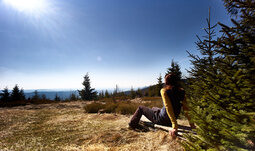 Wandern Nationalpark Bayerischer Wald