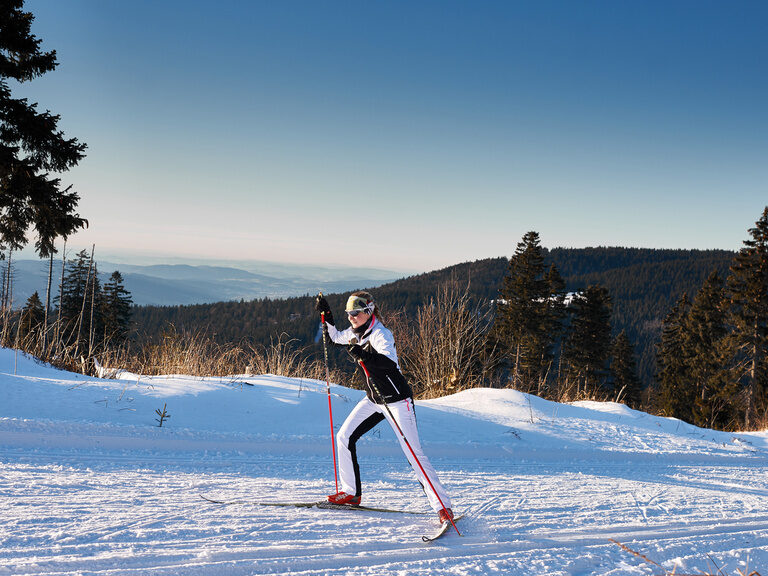 Winter Bayerischer Wald Hotel